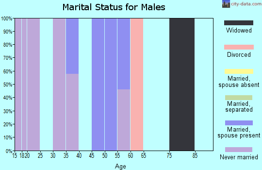 Zip code 87040 marital status for males
