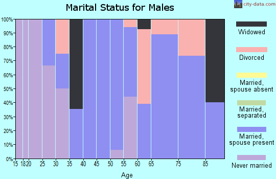 Zip code 87041 marital status for males