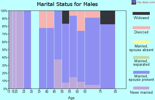 Zip code 87043 marital status for males