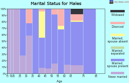 Zip code 87047 marital status for males