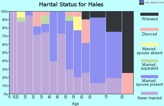 Zip code 87053 marital status for males