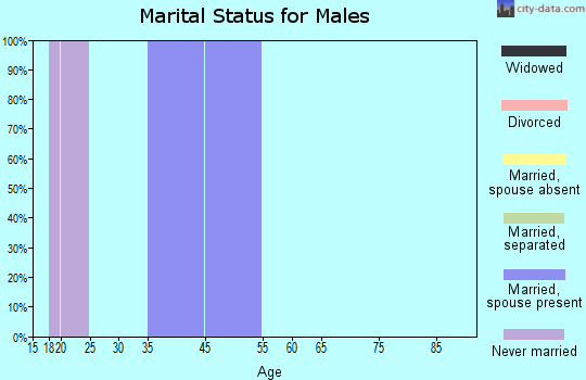 Zip code 87060 marital status for males