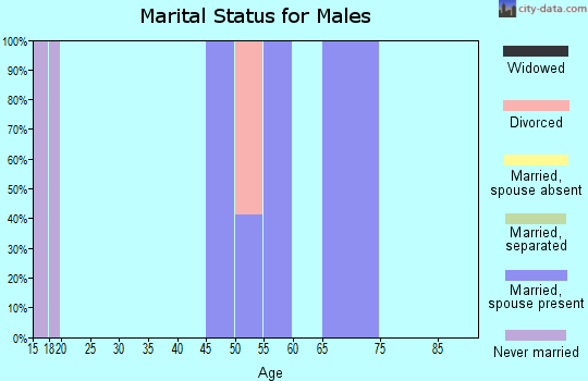 Zip code 87061 marital status for males