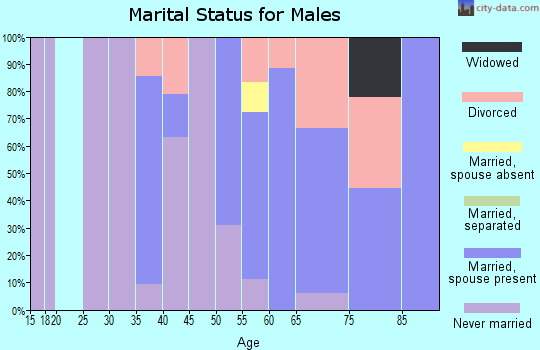 Zip code 87083 marital status for males