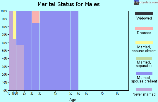 Zip code 87118 marital status for males