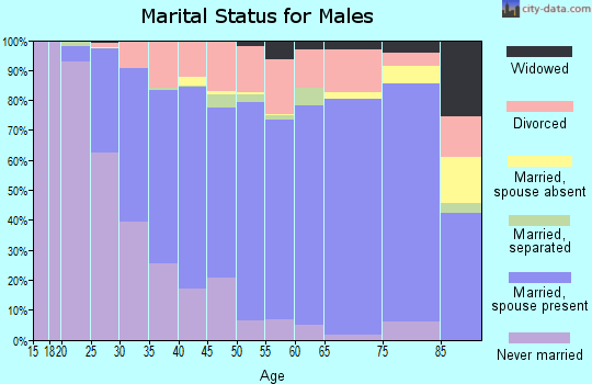 Zip code 87120 marital status for males