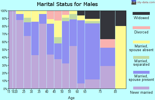 Zip code 87311 marital status for males