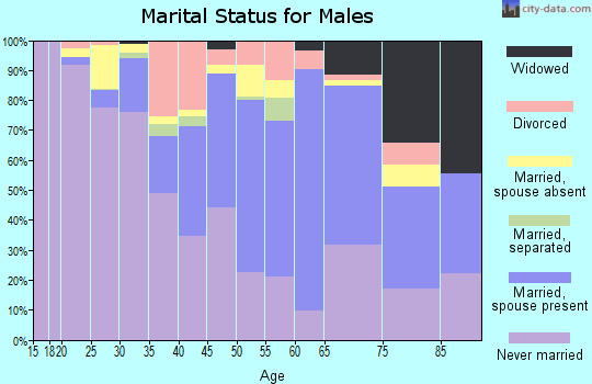 Zip code 87313 marital status for males