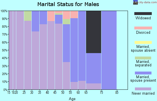 Zip code 87316 marital status for males
