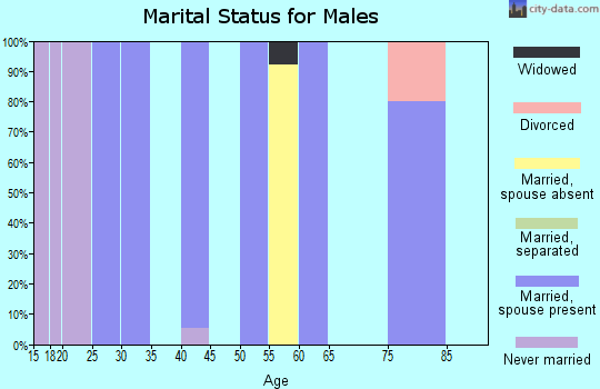 Zip code 87317 marital status for males