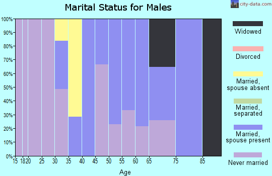 Zip code 87320 marital status for males