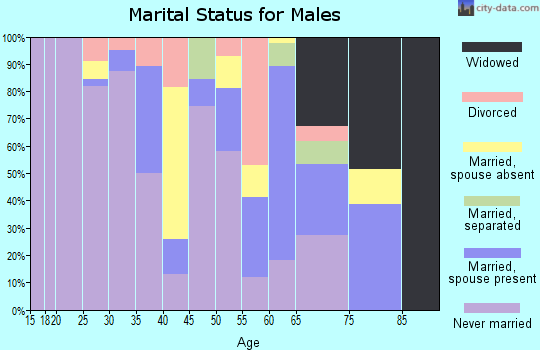 Zip code 87321 marital status for males