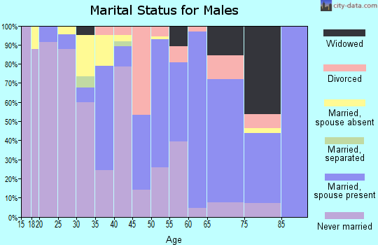 Zip code 87323 marital status for males