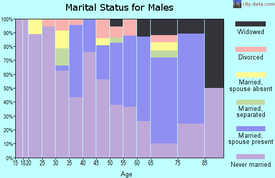 Zip code 87325 marital status for males