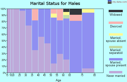 Zip code 87326 marital status for males