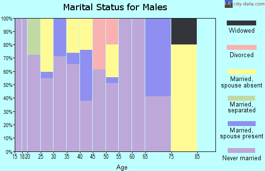 Zip code 87357 marital status for males