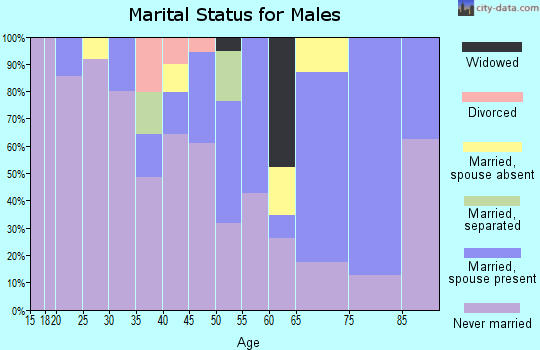 Zip code 87364 marital status for males