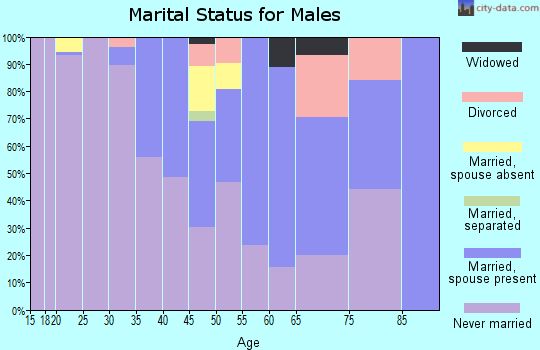 Zip code 87375 marital status for males