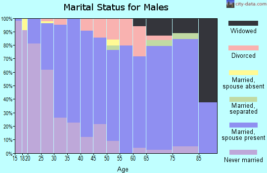 Zip code 87402 marital status for males