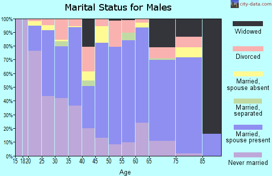 Zip code 87413 marital status for males