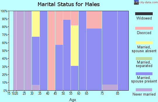 Zip code 87415 marital status for males