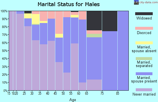Zip code 87416 marital status for males