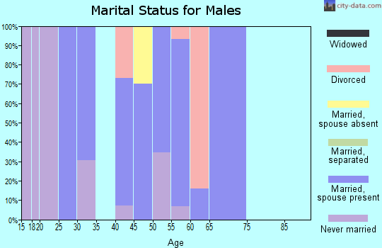 Zip code 87418 marital status for males