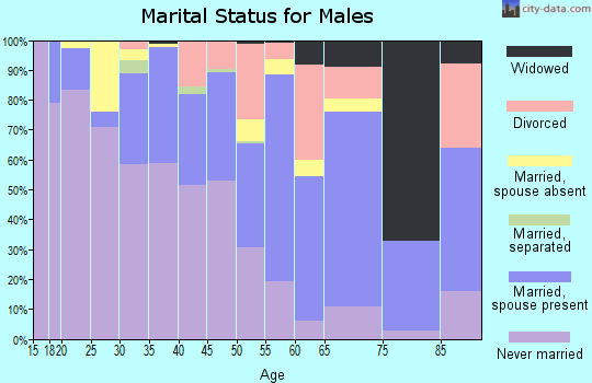 Zip code 87420 marital status for males