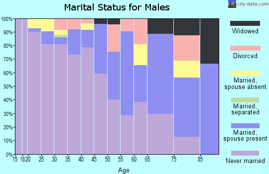 Zip code 87455 marital status for males