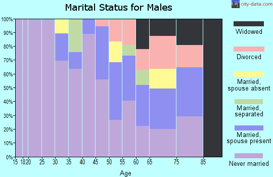 Zip code 87461 marital status for males