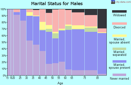 Zip code 87505 marital status for males
