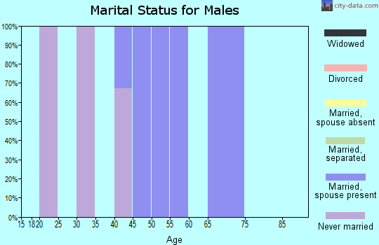 Zip code 87513 marital status for males