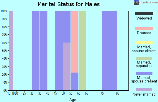 Zip code 87516 marital status for males