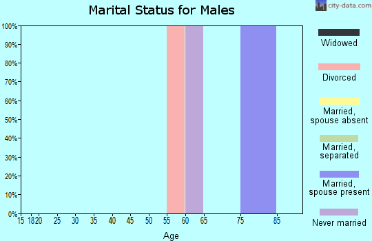 Zip code 87517 marital status for males