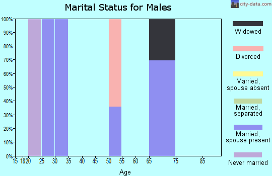 Zip code 87519 marital status for males
