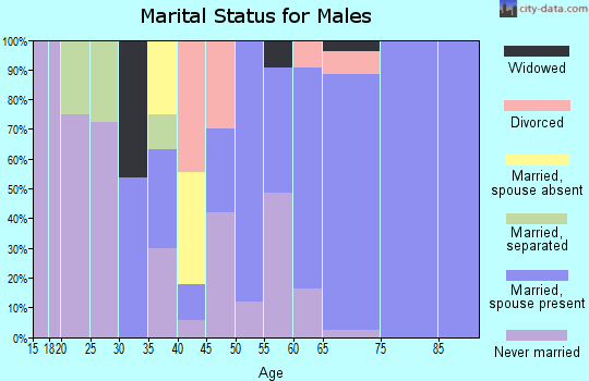 Zip code 87520 marital status for males