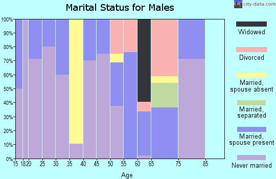 Zip code 87521 marital status for males