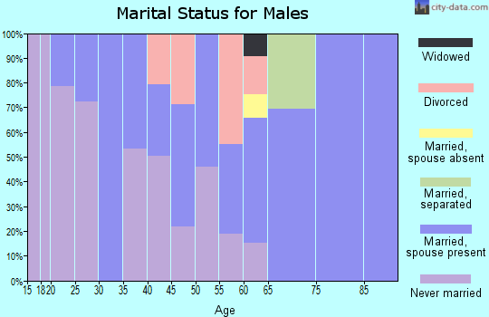 Zip code 87522 marital status for males