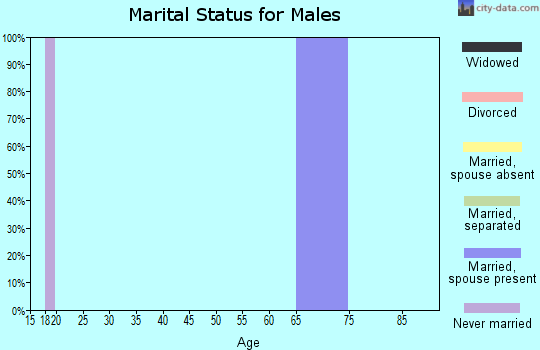 Zip code 87524 marital status for males