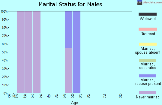 Zip code 87525 marital status for males