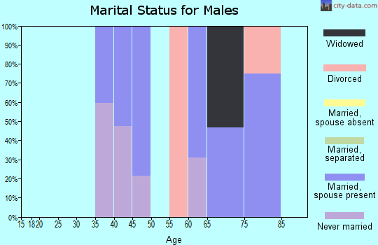 Zip code 87527 marital status for males