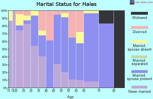 Zip code 87528 marital status for males