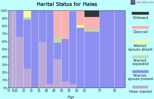Zip code 87529 marital status for males