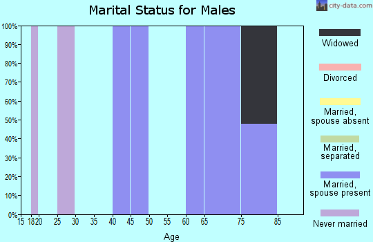 Zip code 87531 marital status for males