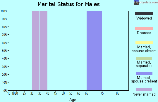 Zip code 87533 marital status for males