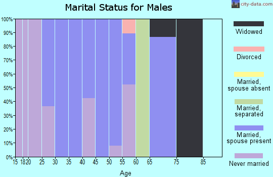 Zip code 87535 marital status for males