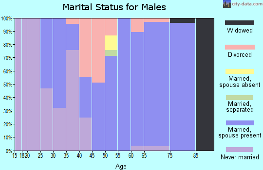 Zip code 87537 marital status for males