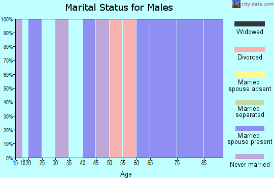 Zip code 87540 marital status for males