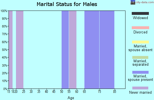 Zip code 87543 marital status for males