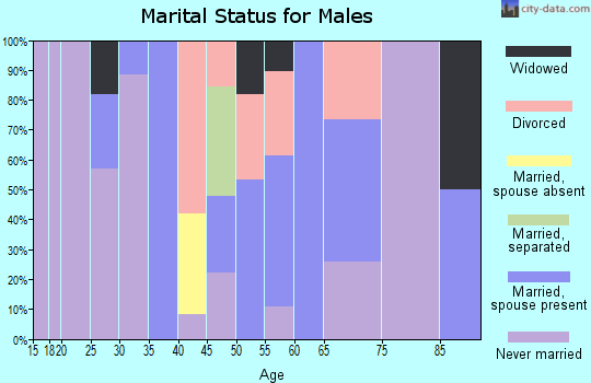 Zip code 87552 marital status for males